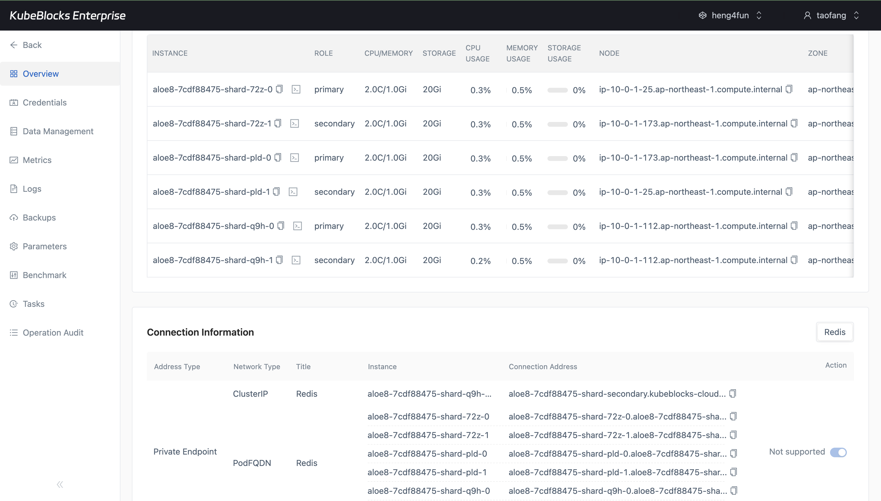 KubeBlocks Enterprise Redis overview showing private endpoint connection information